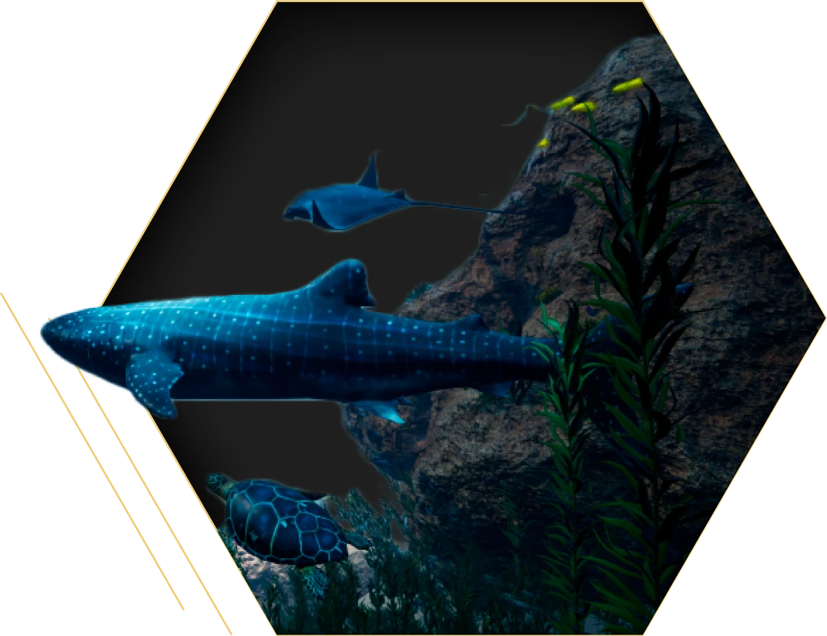 Underwater educational VR scene with a whale shark and sea life